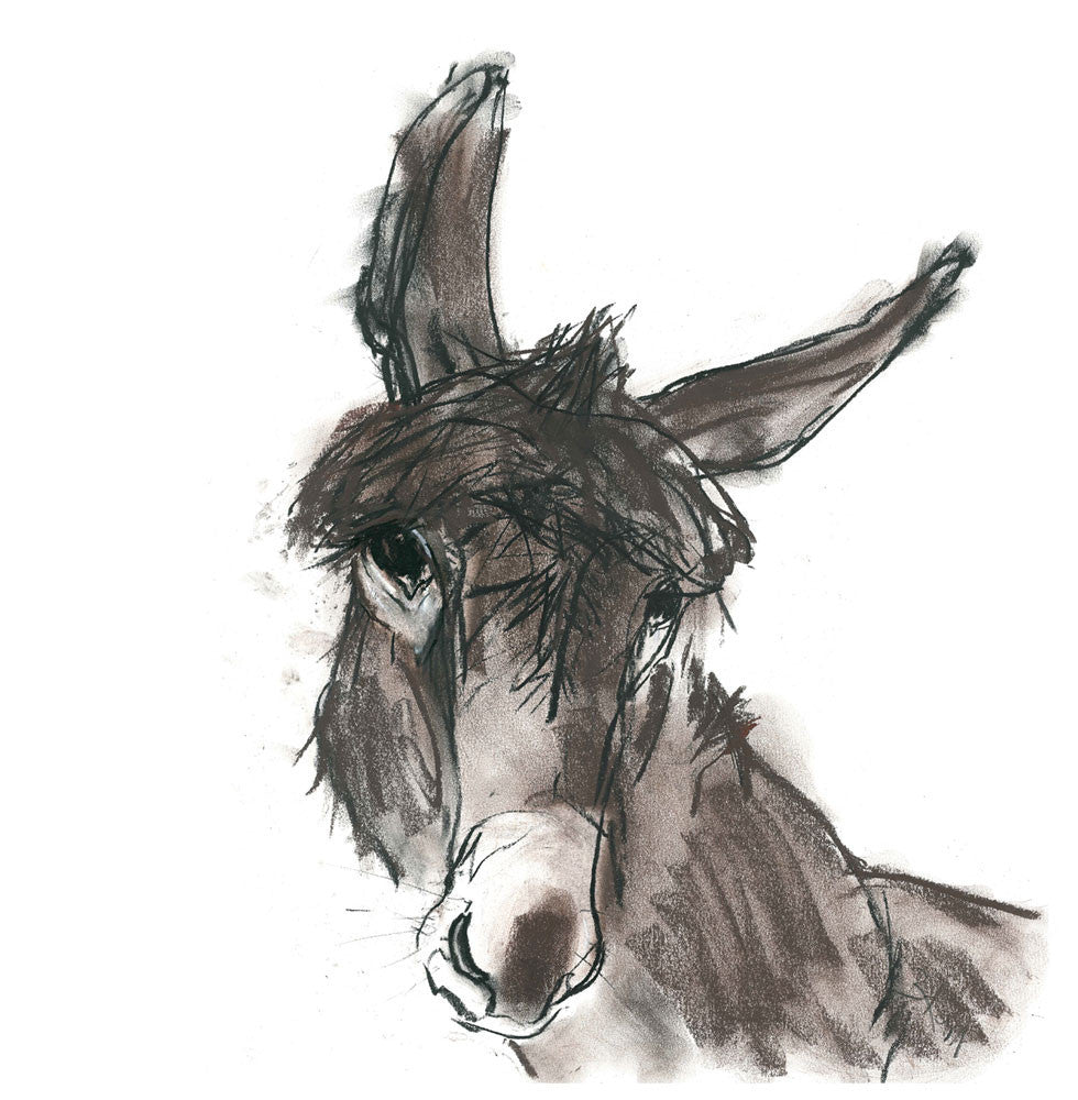 donkey - card & print