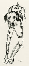 Load image into Gallery viewer, dot, dalmatian - card &amp; print