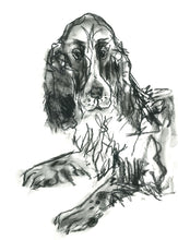 Load image into Gallery viewer, jarvis, spaniel - print