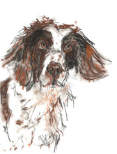 Load image into Gallery viewer, pogo, springer spaniel