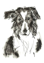 Load image into Gallery viewer, sheppy, border collie - card &amp; print