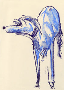 blue dog - print