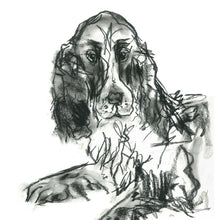 Load image into Gallery viewer, jarvis, spaniel - print