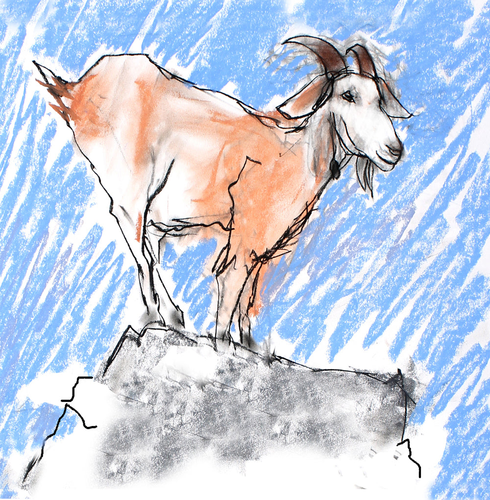 mountain goat - card & print