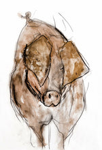 Load image into Gallery viewer, pigs ear - card &amp; print