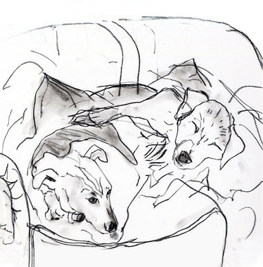 sleeping dogs, jack russels - card